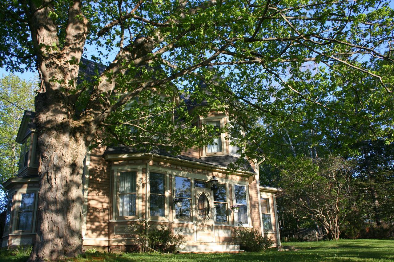 Sackville Bed And Breakfast Luaran gambar